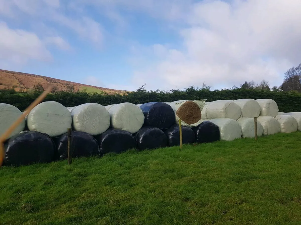 Good quality silage - Image 2