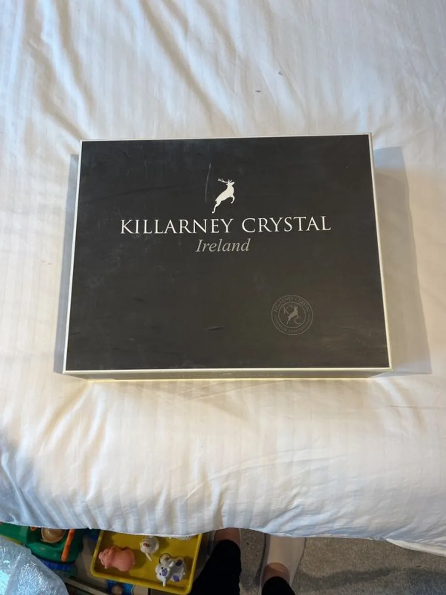 6 Whiskey Glasses - Image 1