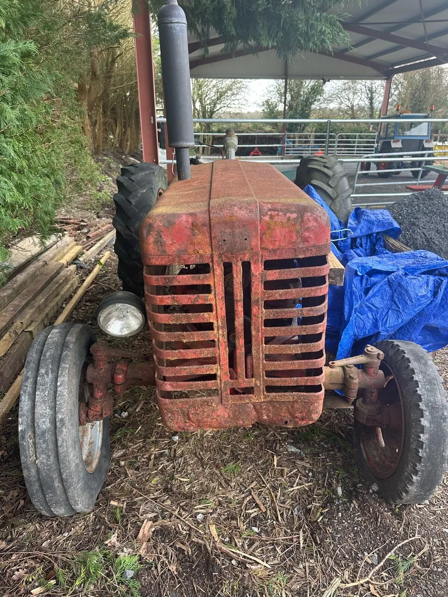 1957 International B250 - Image 3