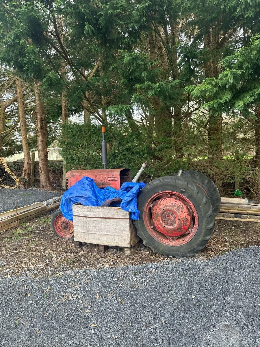 1957 International B250 - Image 2