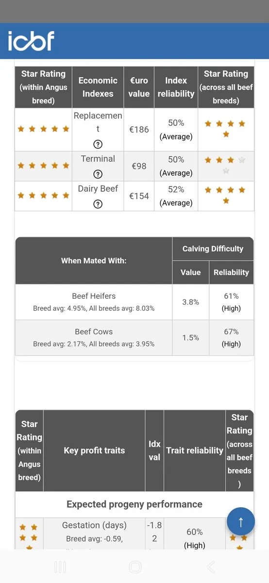 Pedigree Angus Bulls - Image 4