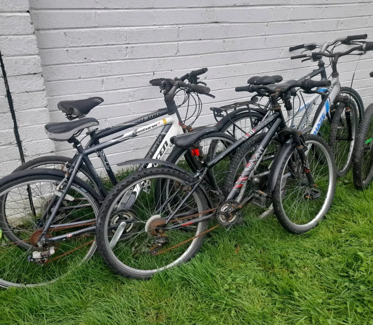 All bikes for sale - Image 3