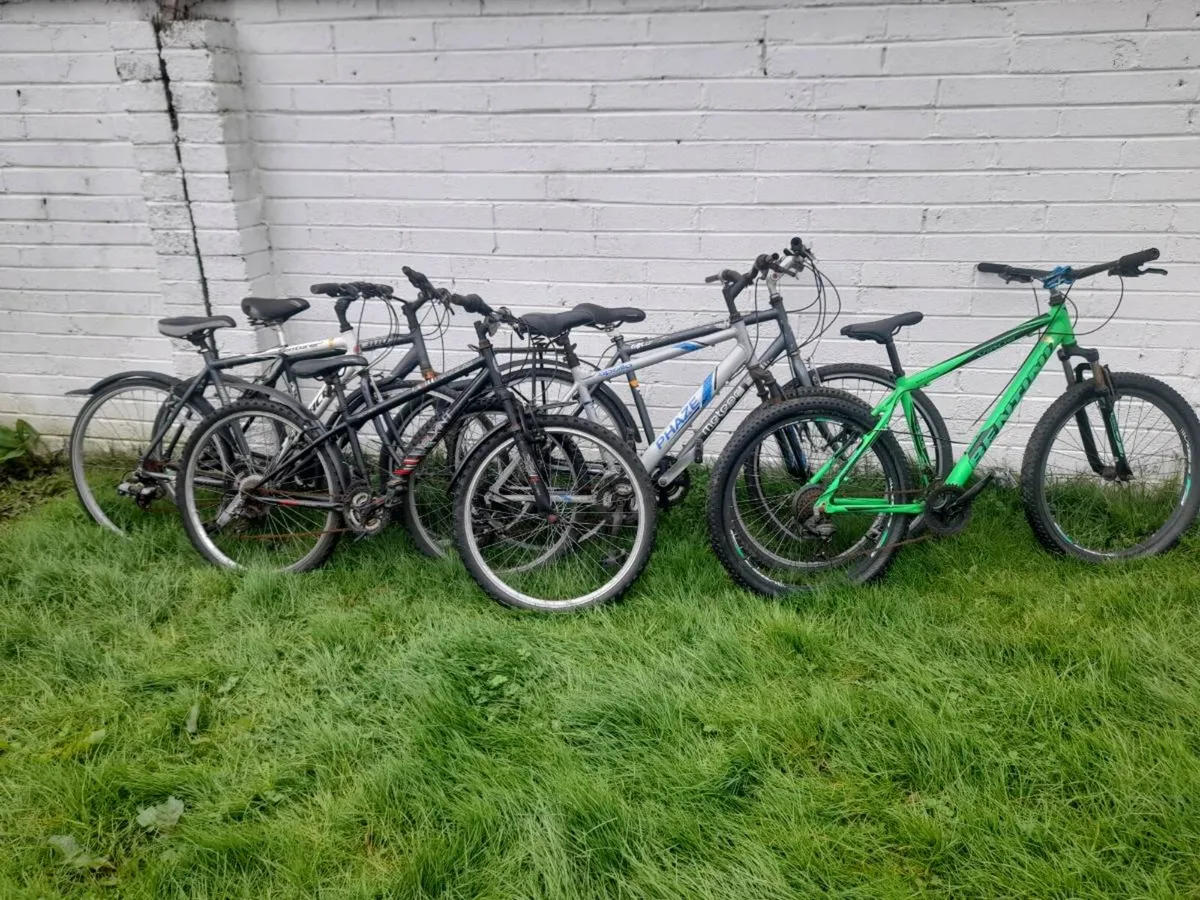 All bikes for sale - Image 1