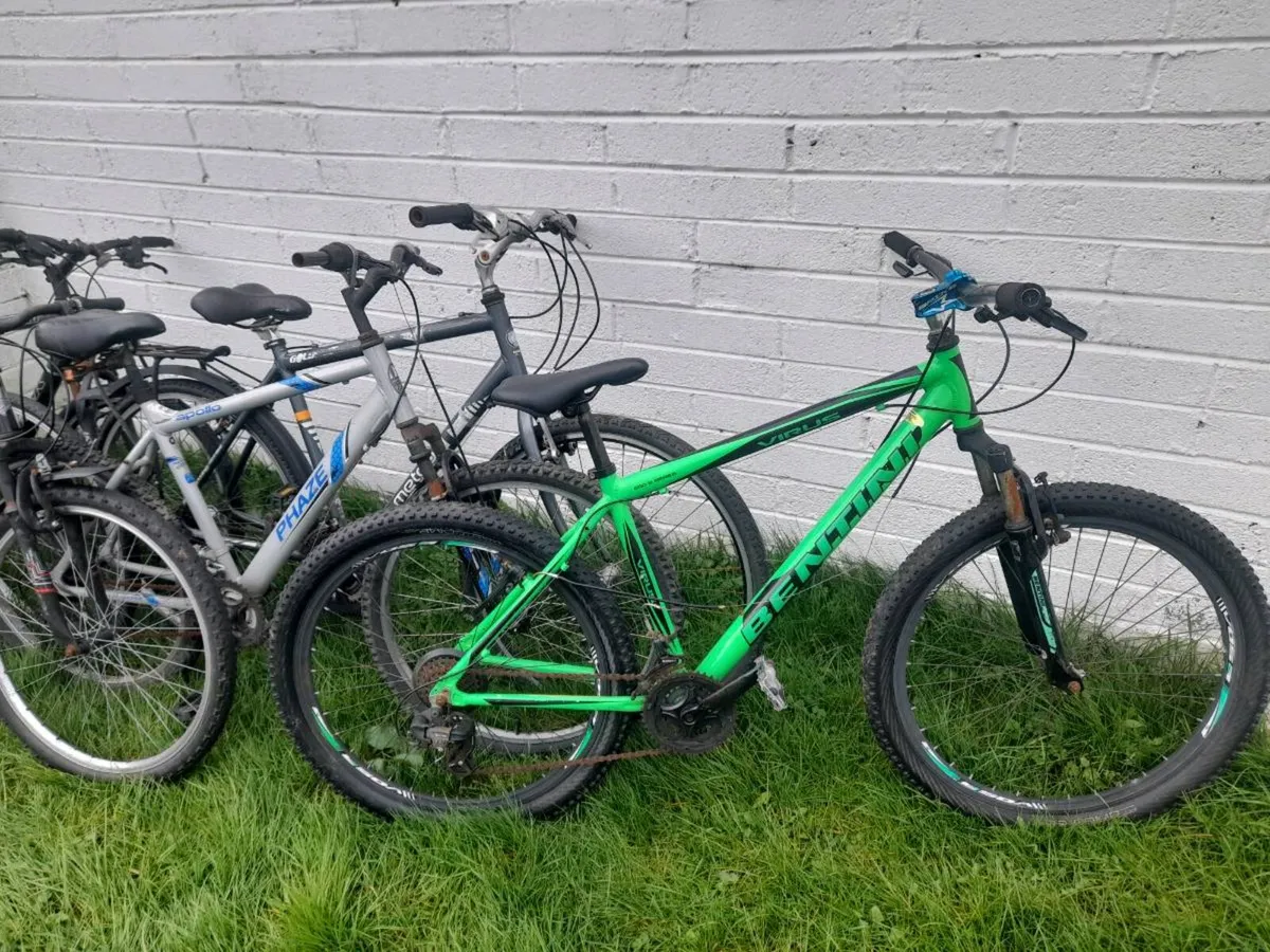 All bikes for sale - Image 2