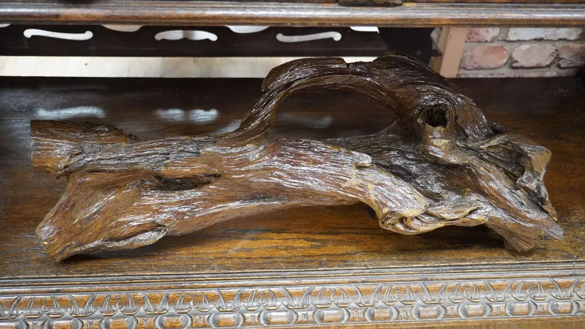 Bog Oak Root Table Sculpture - Image 2