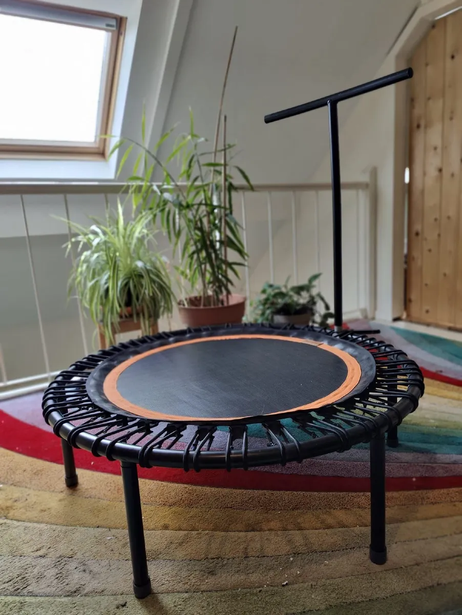 Bellicon Rebounder for home fitness - Image 2