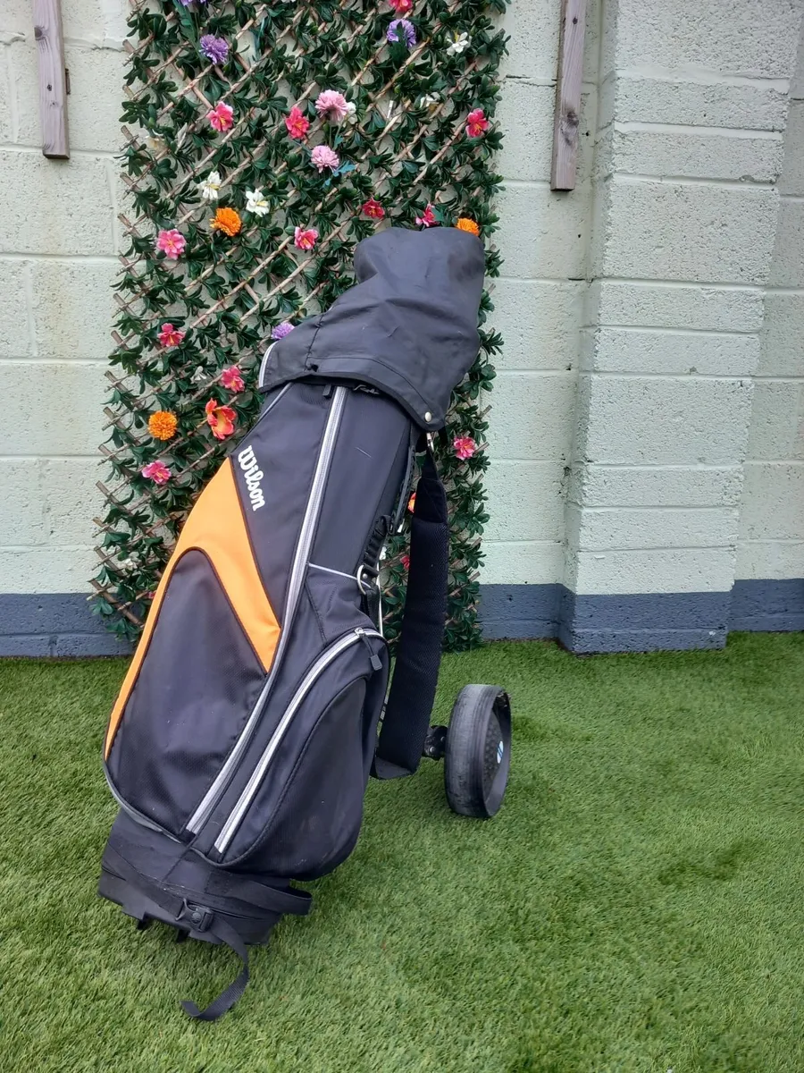 Golf buggy & bag - Image 2
