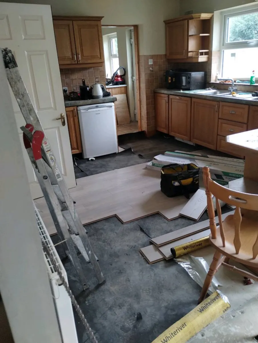 Handyman, painting and renovation. - Image 4