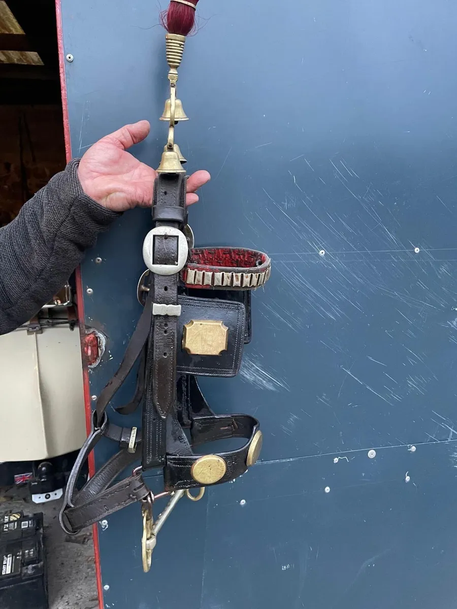 Driving harness and common harness for sale - Image 1