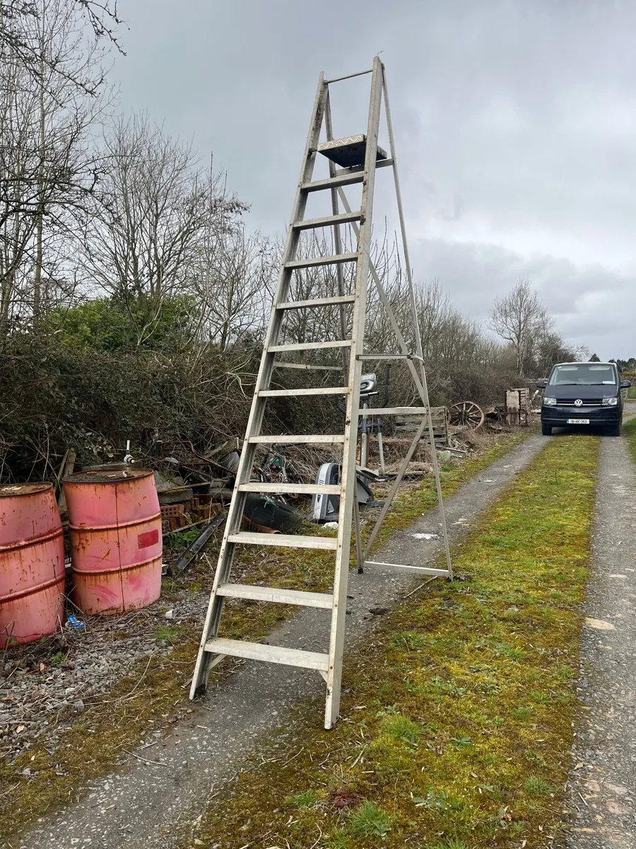 12 ft Ladder
