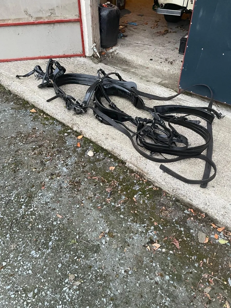 Driving harness and common harness for sale - Image 2