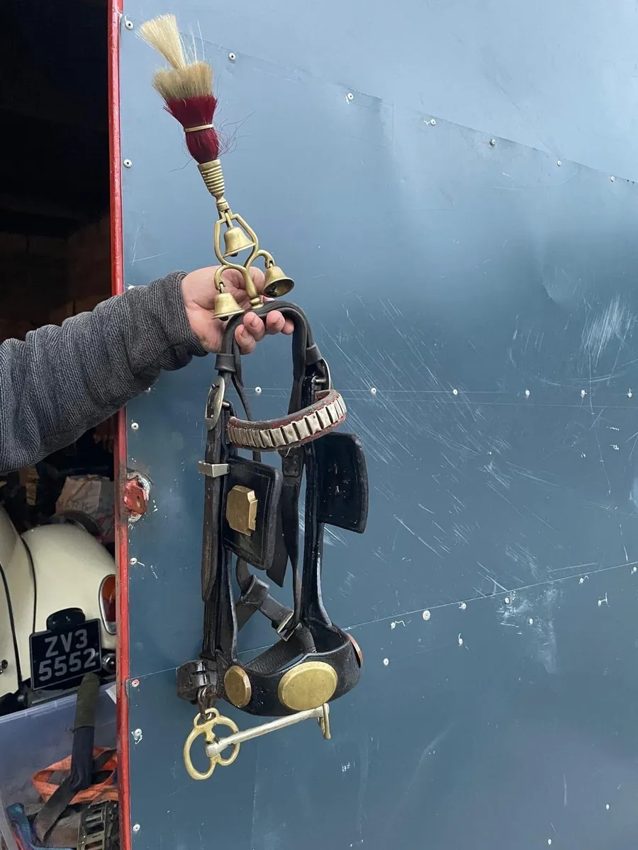 Driving harness and common harness for sale - Image 4