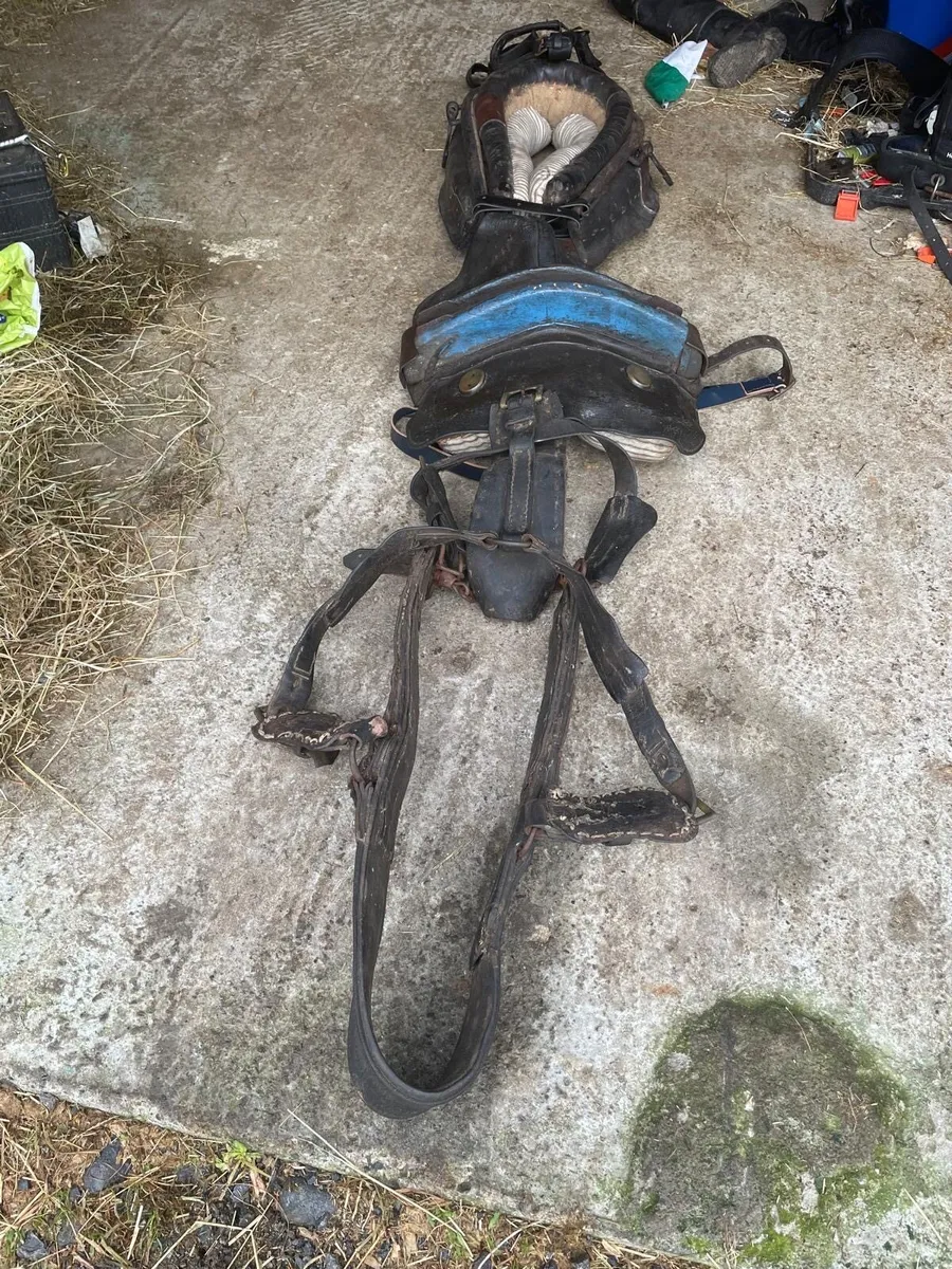 Driving harness and common harness for sale - Image 3