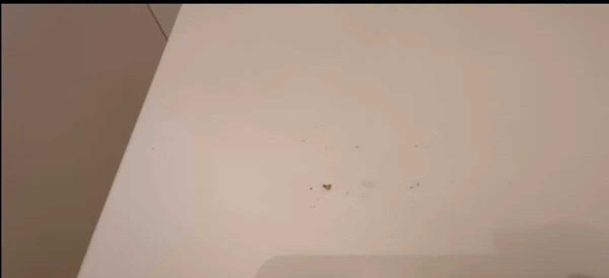 Chest of drawers - Image 3