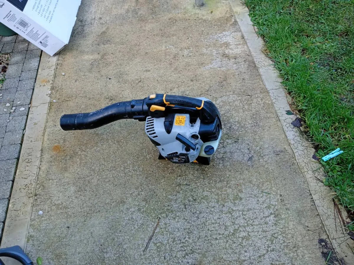 Petrol blower - Image 1