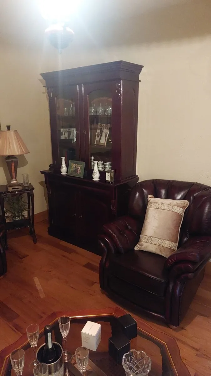 Mahogany Display Cabinet - Image 2