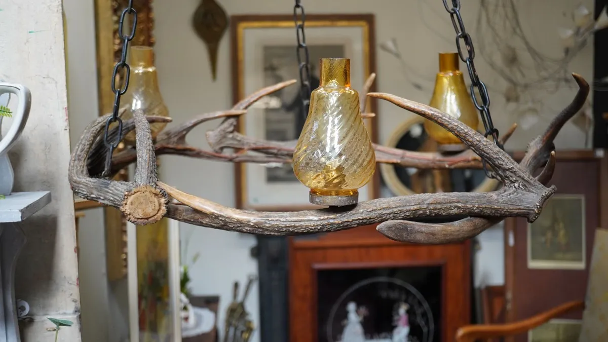 Rustic Antler Chandelier - Image 4