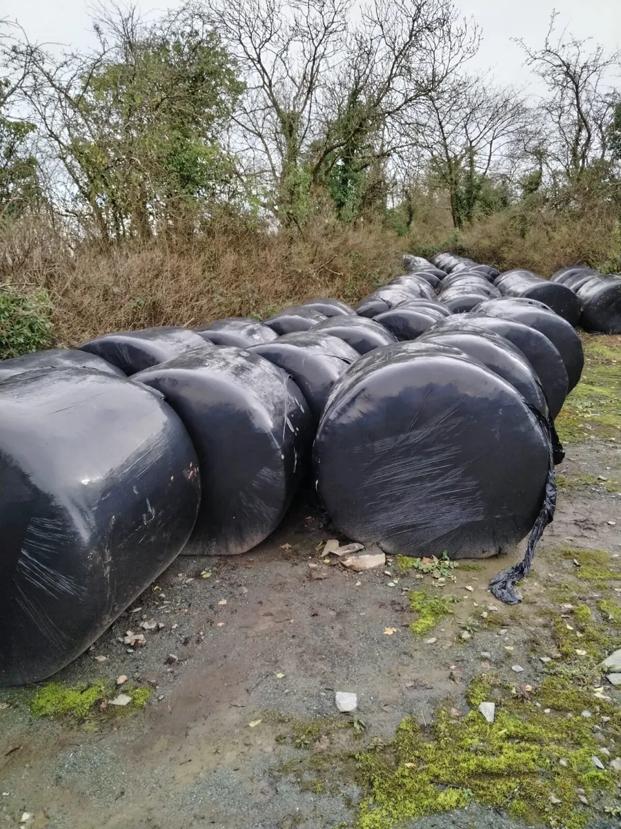 Bedding and feed - Image 2