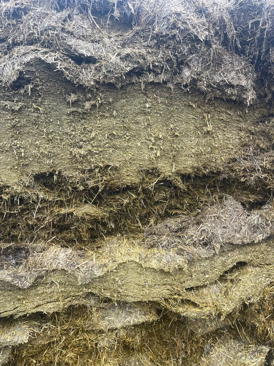 Silage - Image 1