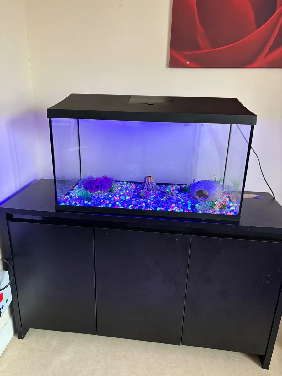 Fish tank with unit - Image 1