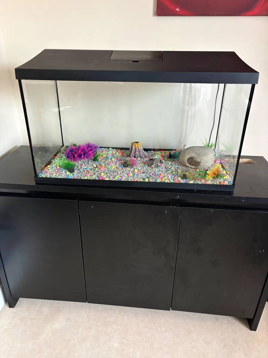 Fish tank with unit - Image 2