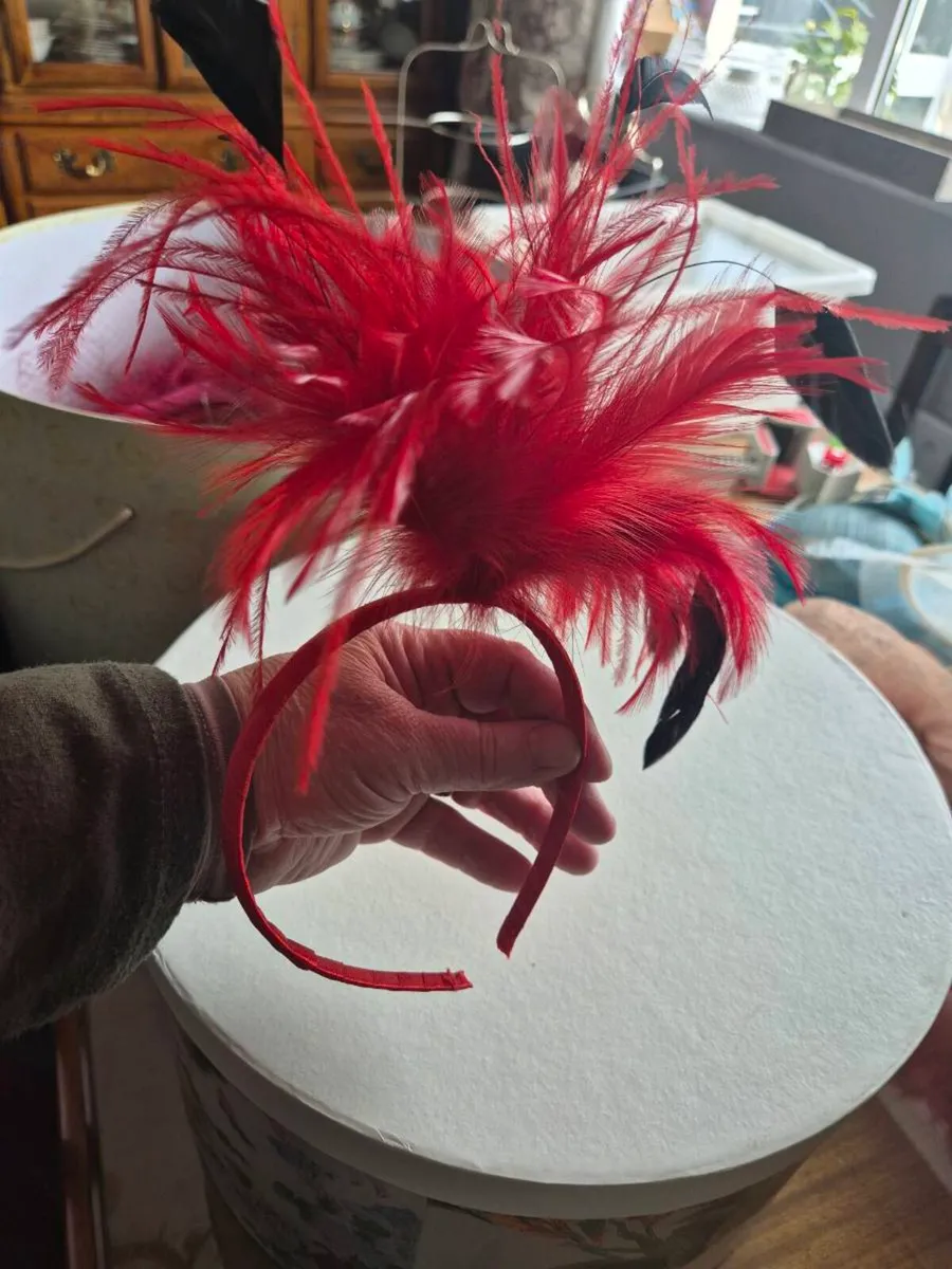 Fascinators - Image 1