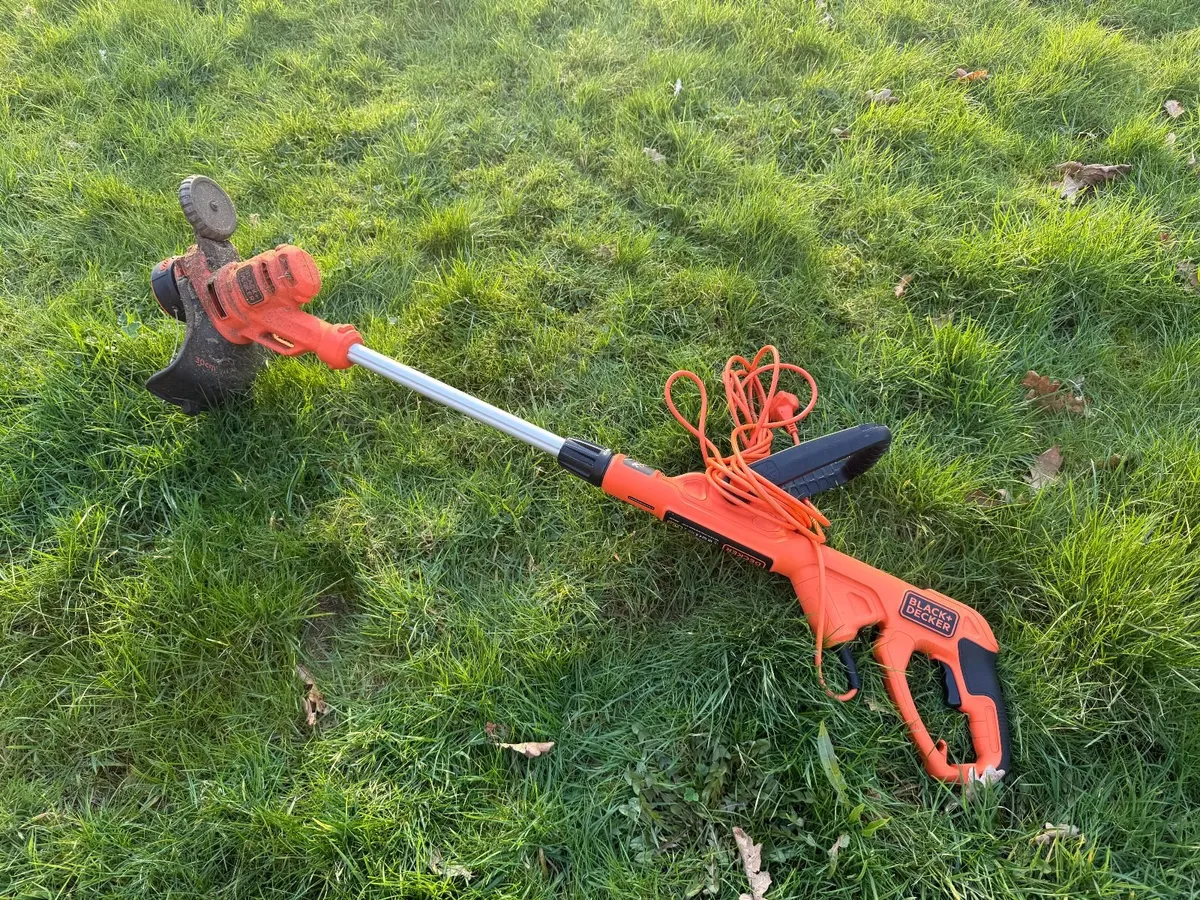Electric Strimmer - Image 1