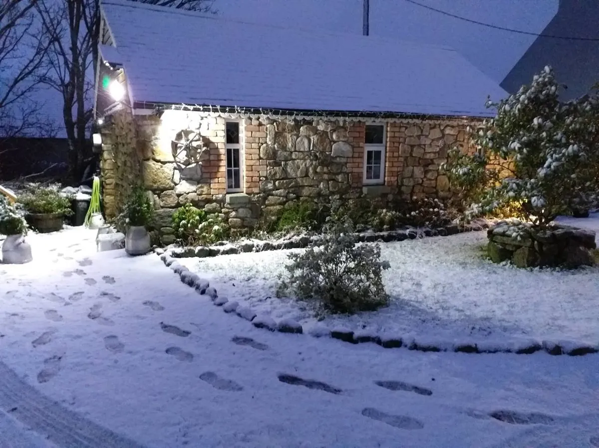 Holiday Cabin/studio - Image 1