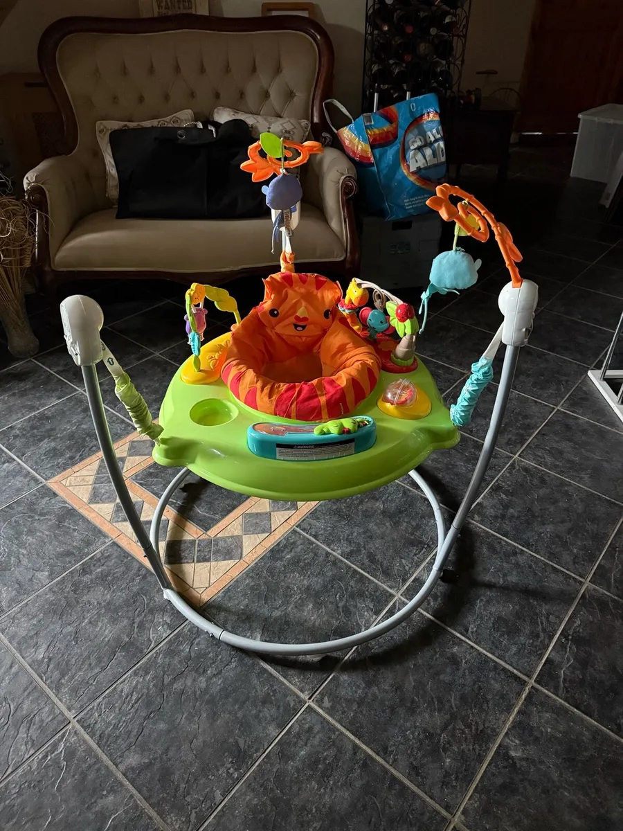 Fisher price jumperoo