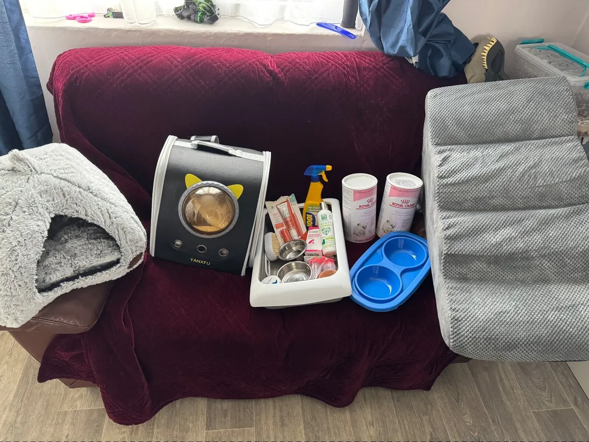 Cat set, Backpack, steps, house and more - Image 2