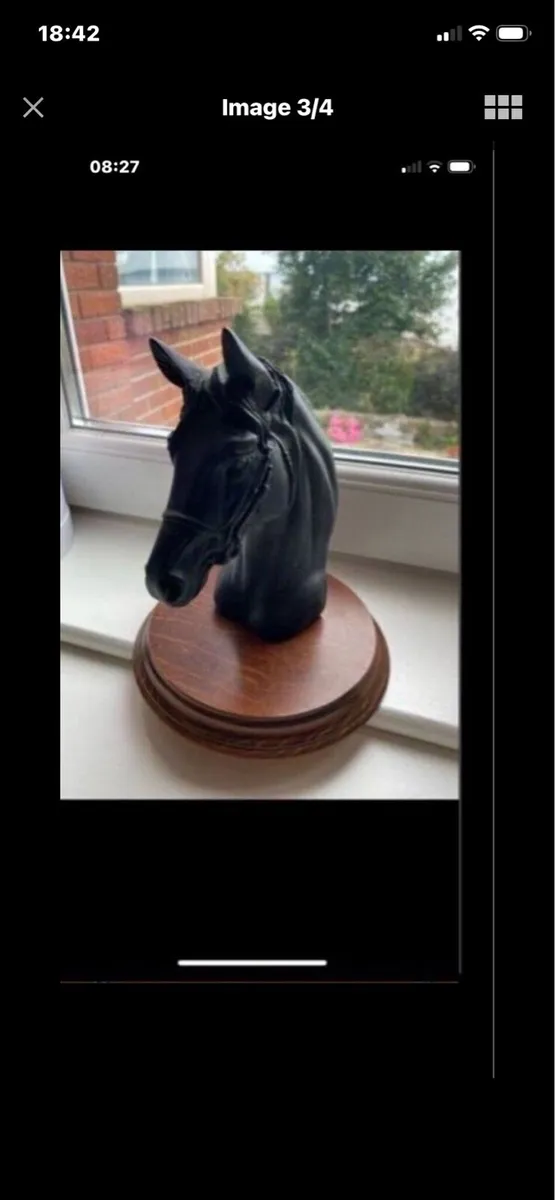 Vintage Horse Head Display - Image 3