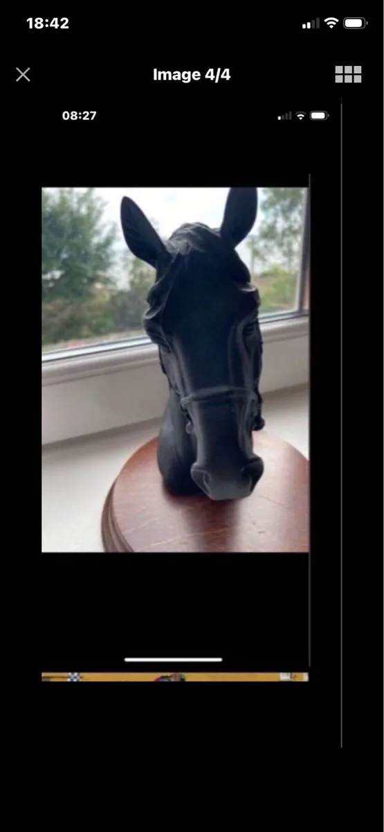 Vintage Horse Head Display - Image 4