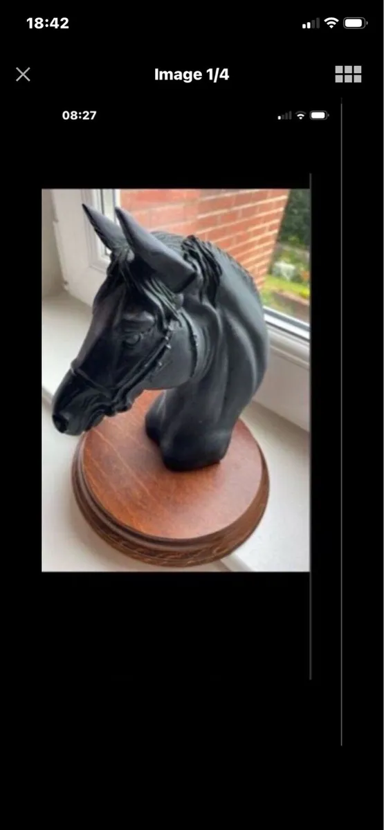 Vintage Horse Head Display - Image 1