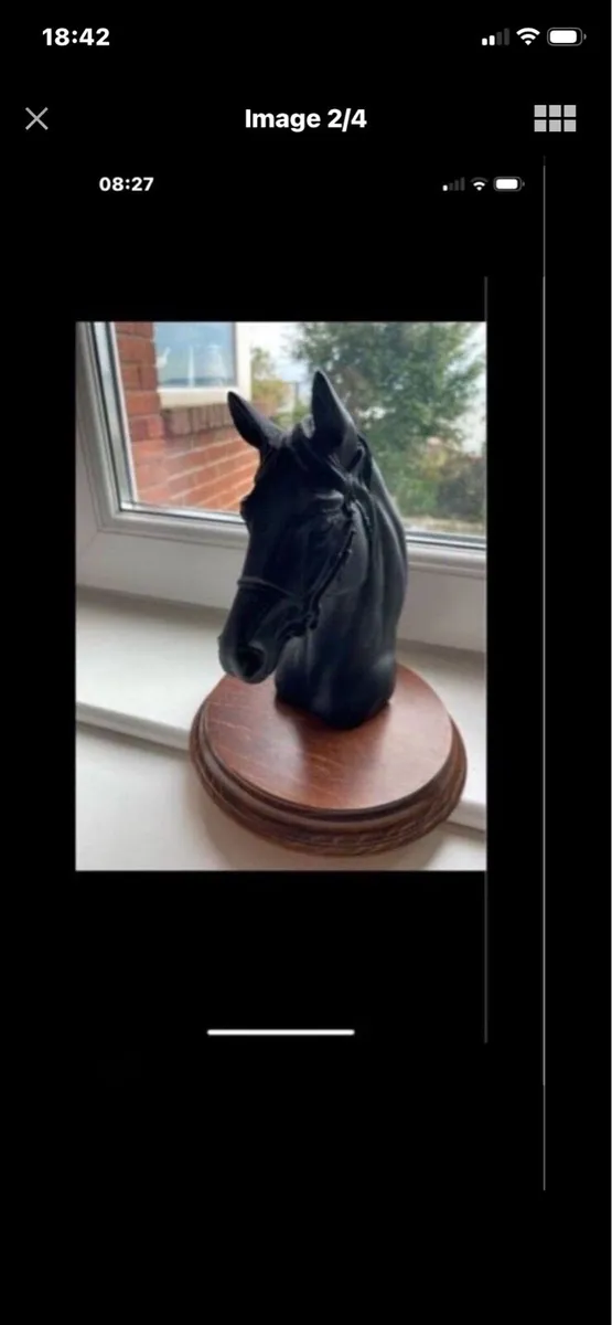 Vintage Horse Head Display - Image 2
