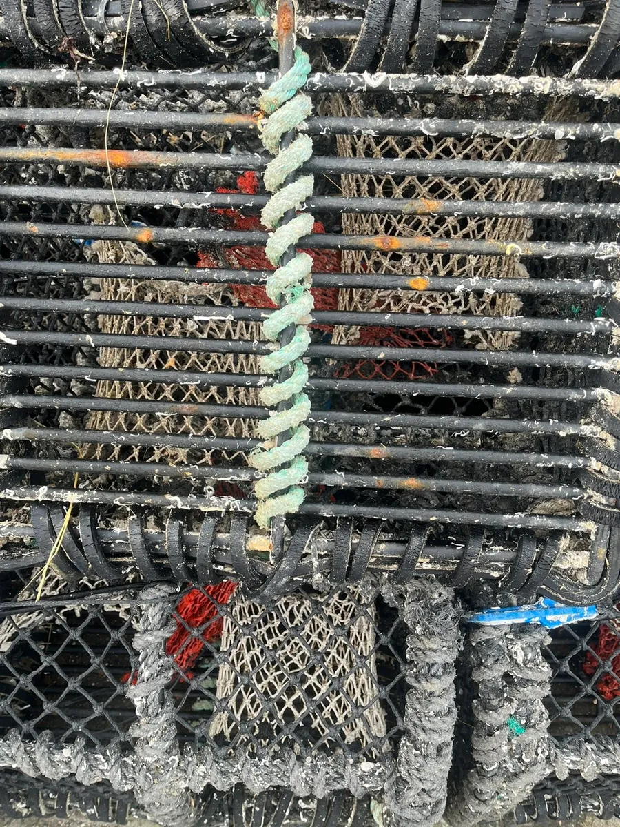 60 22”pots for sale - Image 2