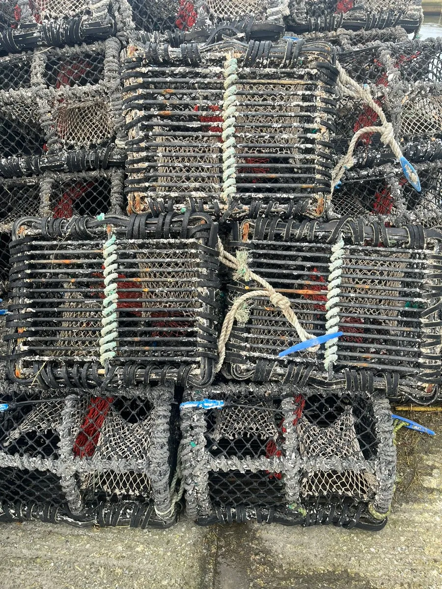 60 22”pots for sale - Image 3