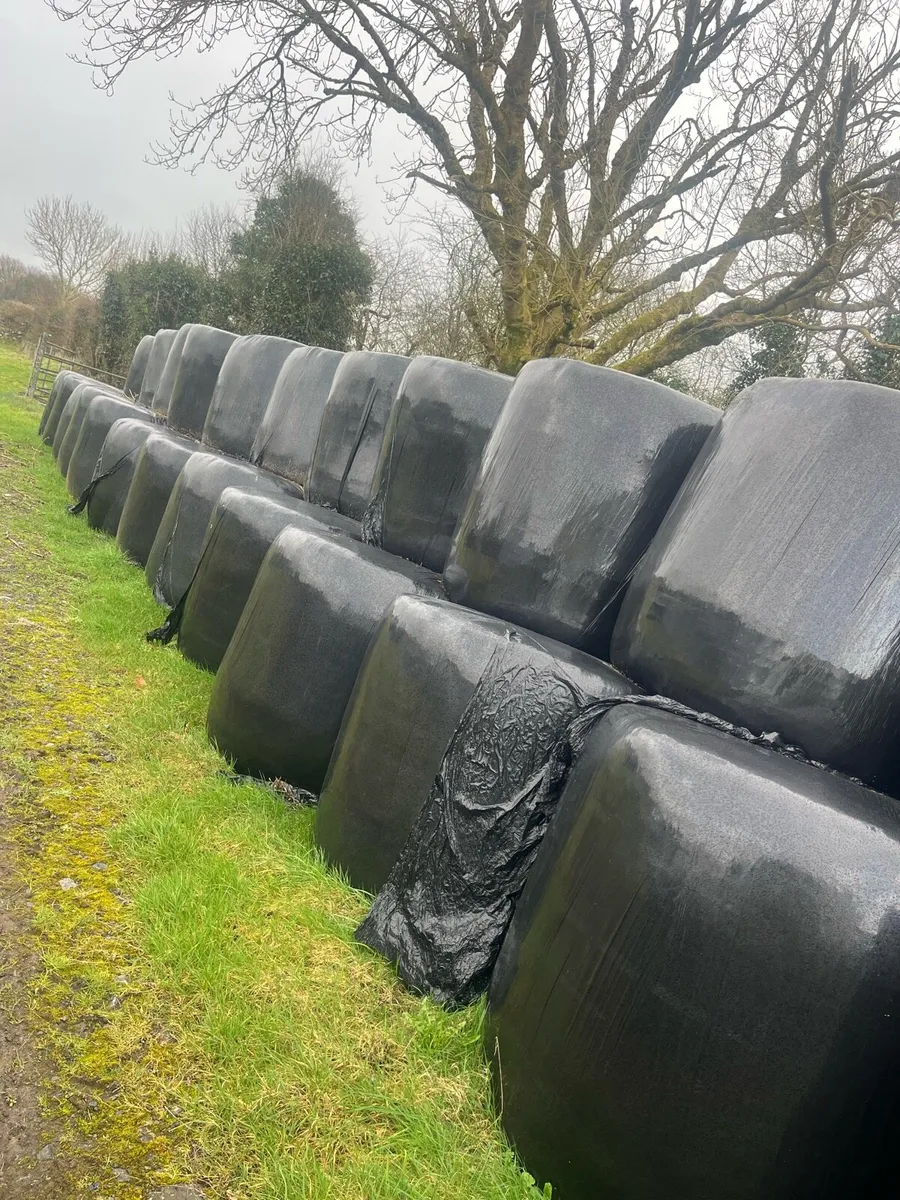 Silage Bales