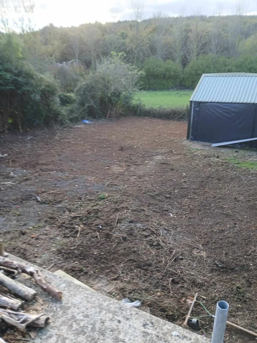 Diggers with drivers all work carried out - Image 1