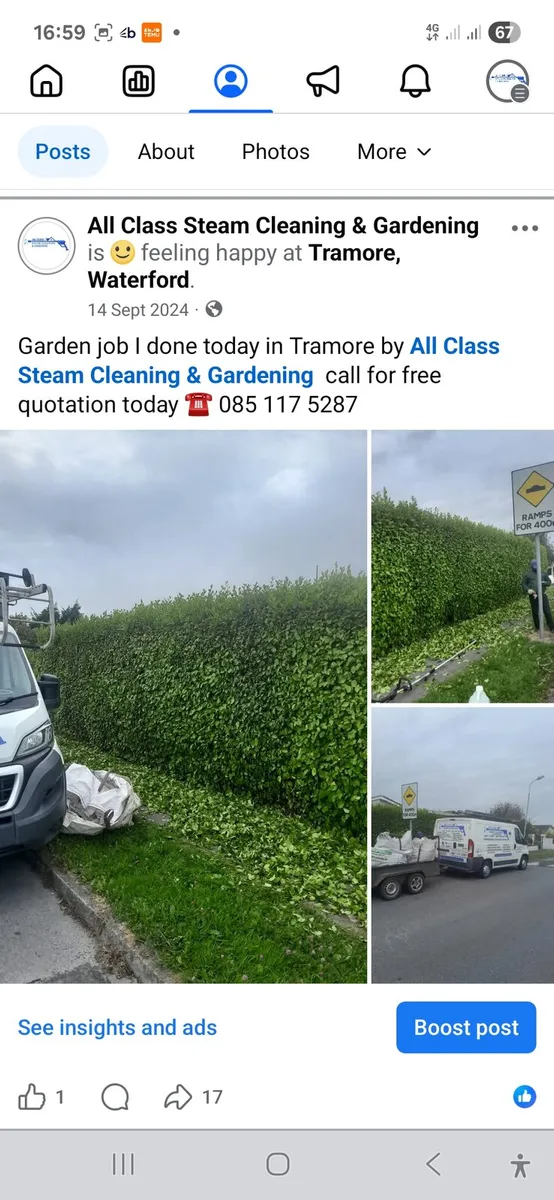 All class steam cleaning&gardening - Image 1