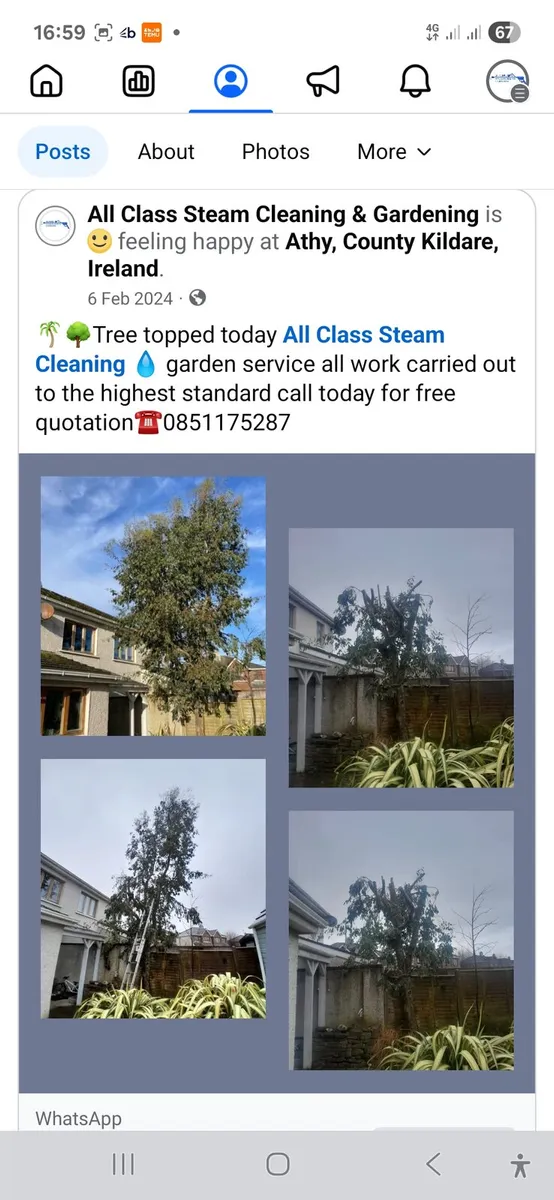 All class steam cleaning&gardening - Image 3