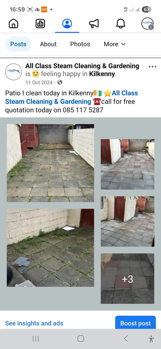 All class steam cleaning&gardening - Image 4