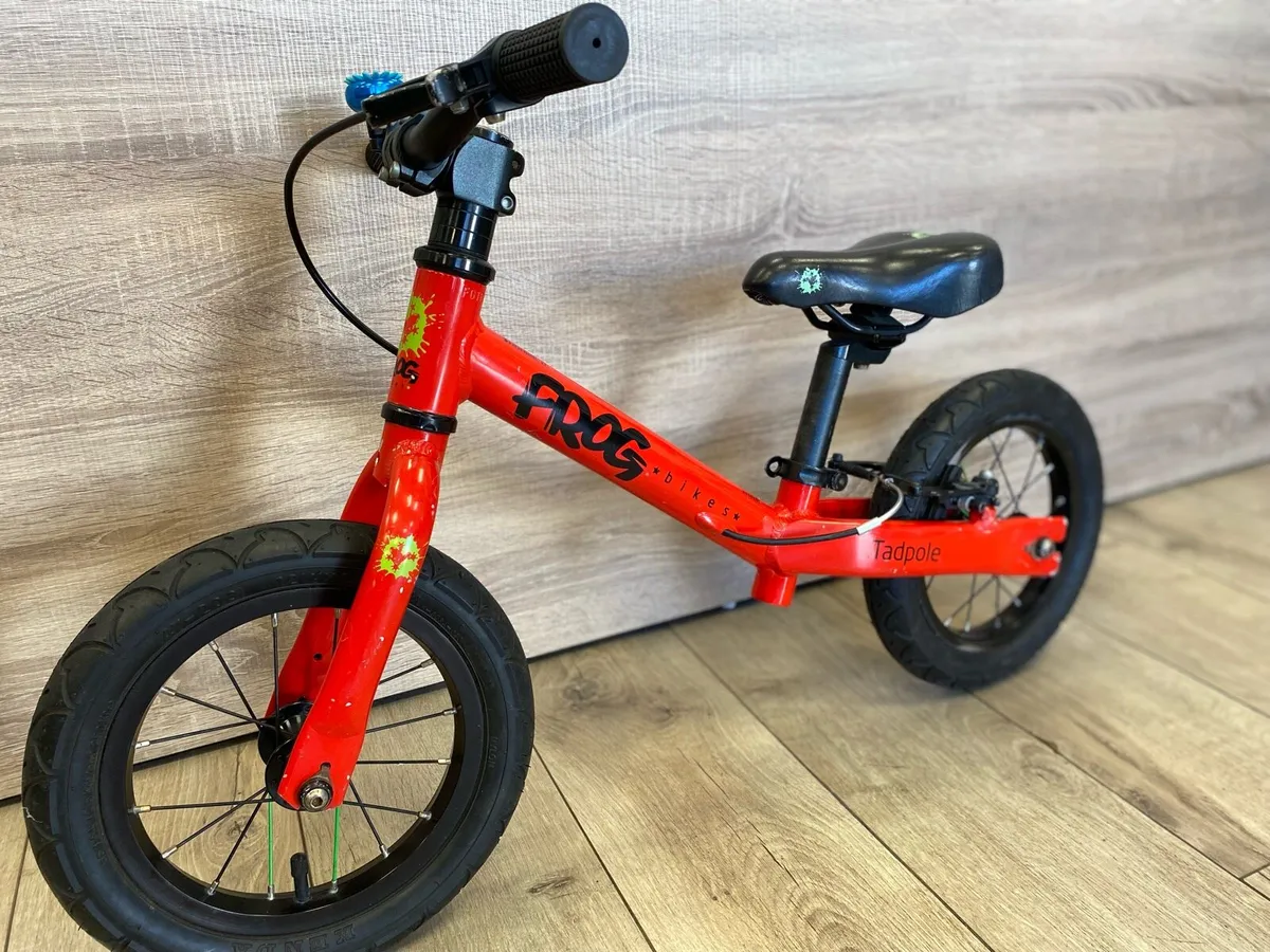 Frog tadpole (like new) - Image 3