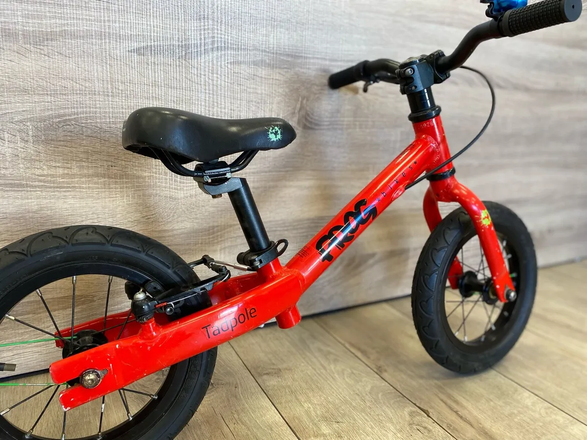 Frog tadpole (like new) - Image 4