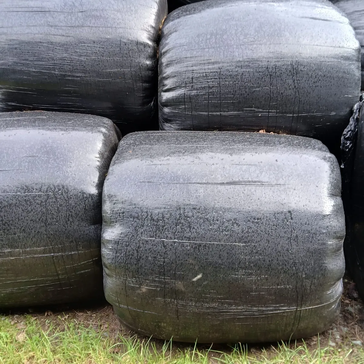 Silage Bales - Image 2