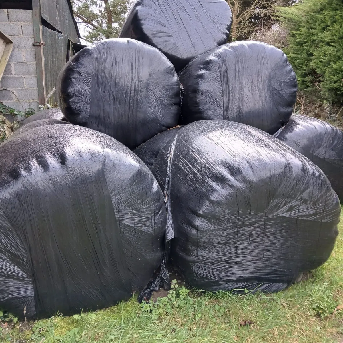 Silage Bales - Image 3