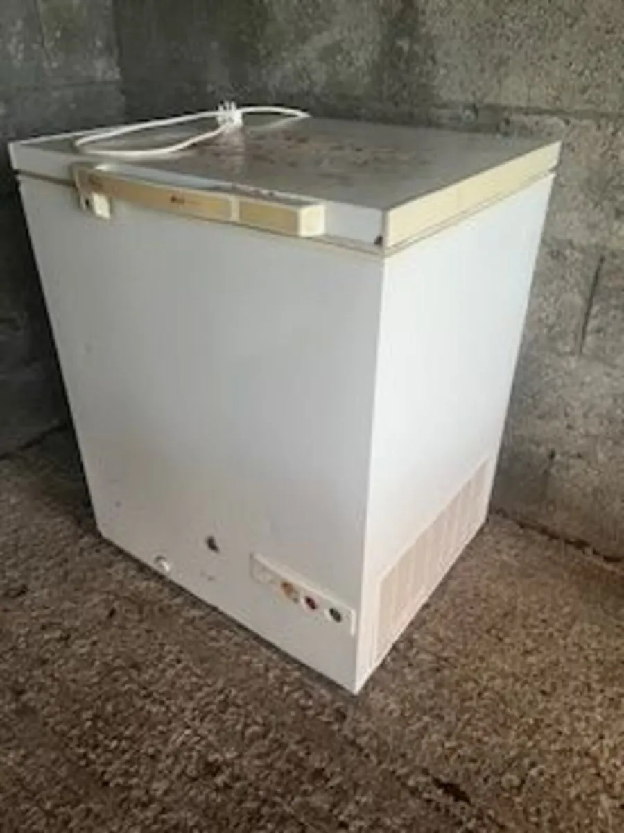 Freezer - Image 4