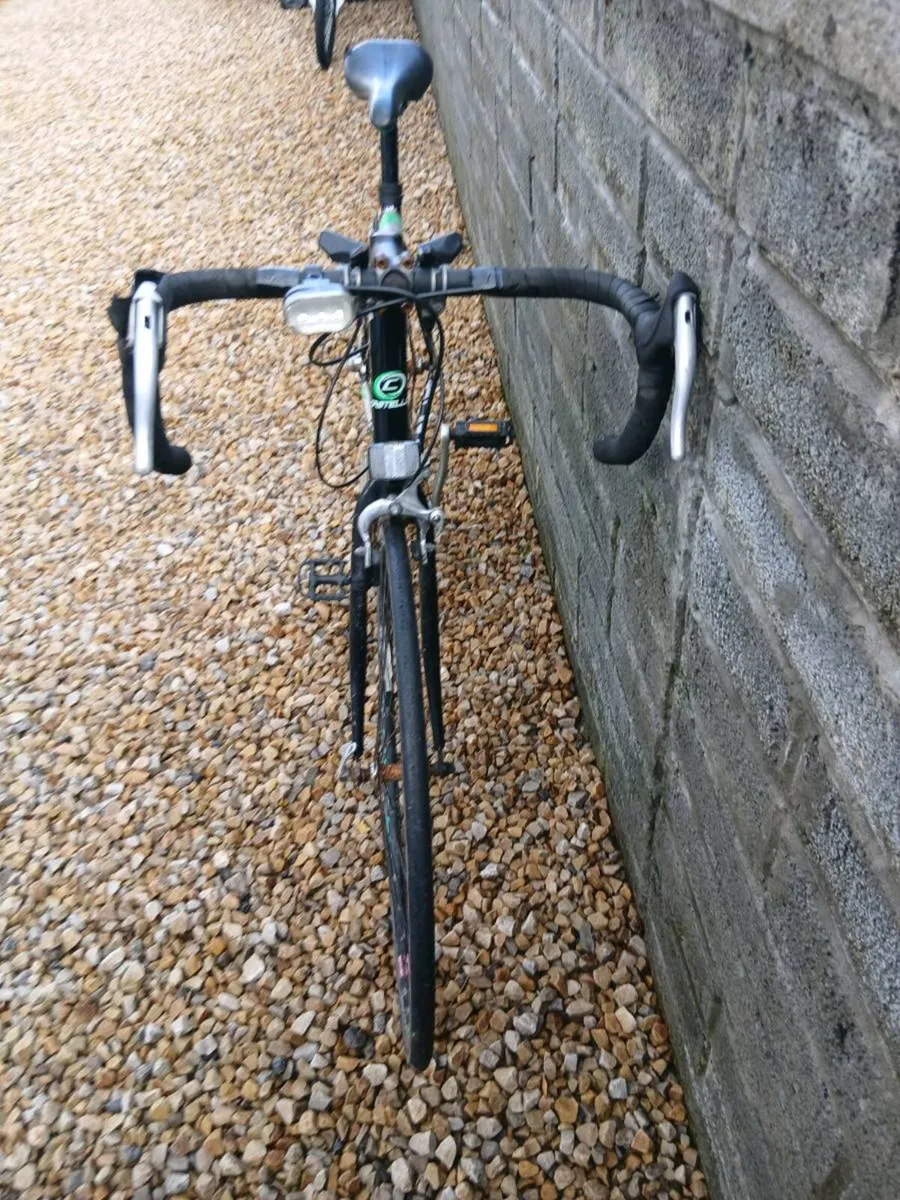 ADULTS RACER - Image 2