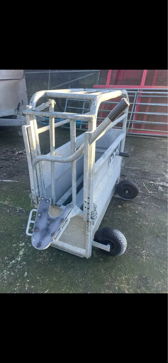 Condon calf dehorning crate - Image 1