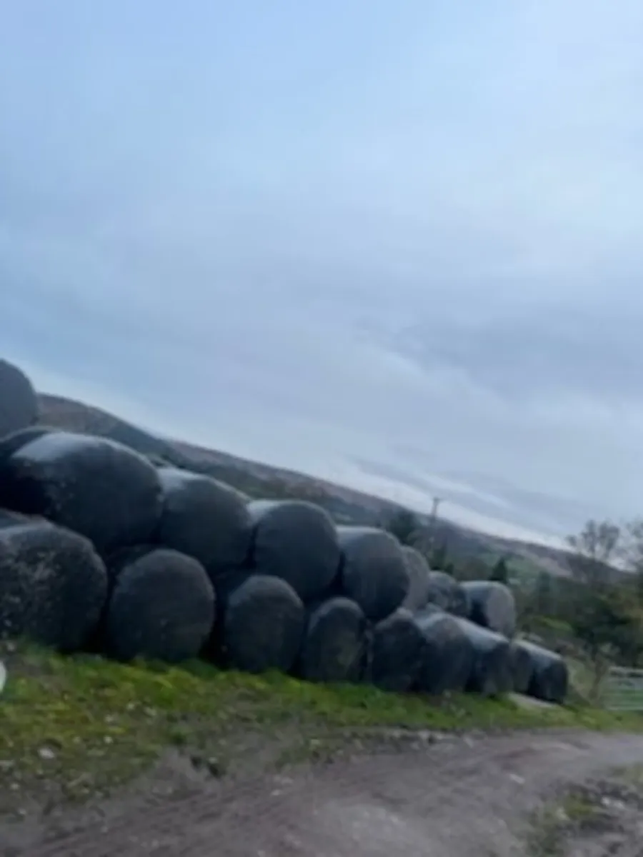 Silage bales for sale - Image 1