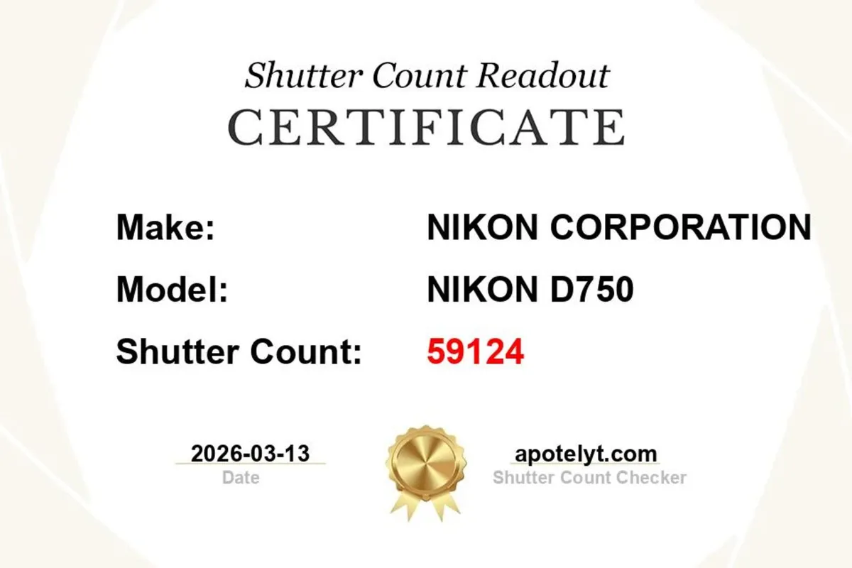 Nikon D750 + 50mm 1.8 & 24-85mm 3.5-4.5 - Image 3